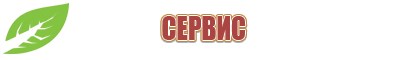 Дэнас Вертебра 1