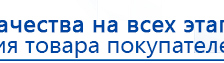 Электрод гребенчатый  купить в Кумертау, Выносные электроды купить в Кумертау, Дэнас официальный сайт denasolm.ru